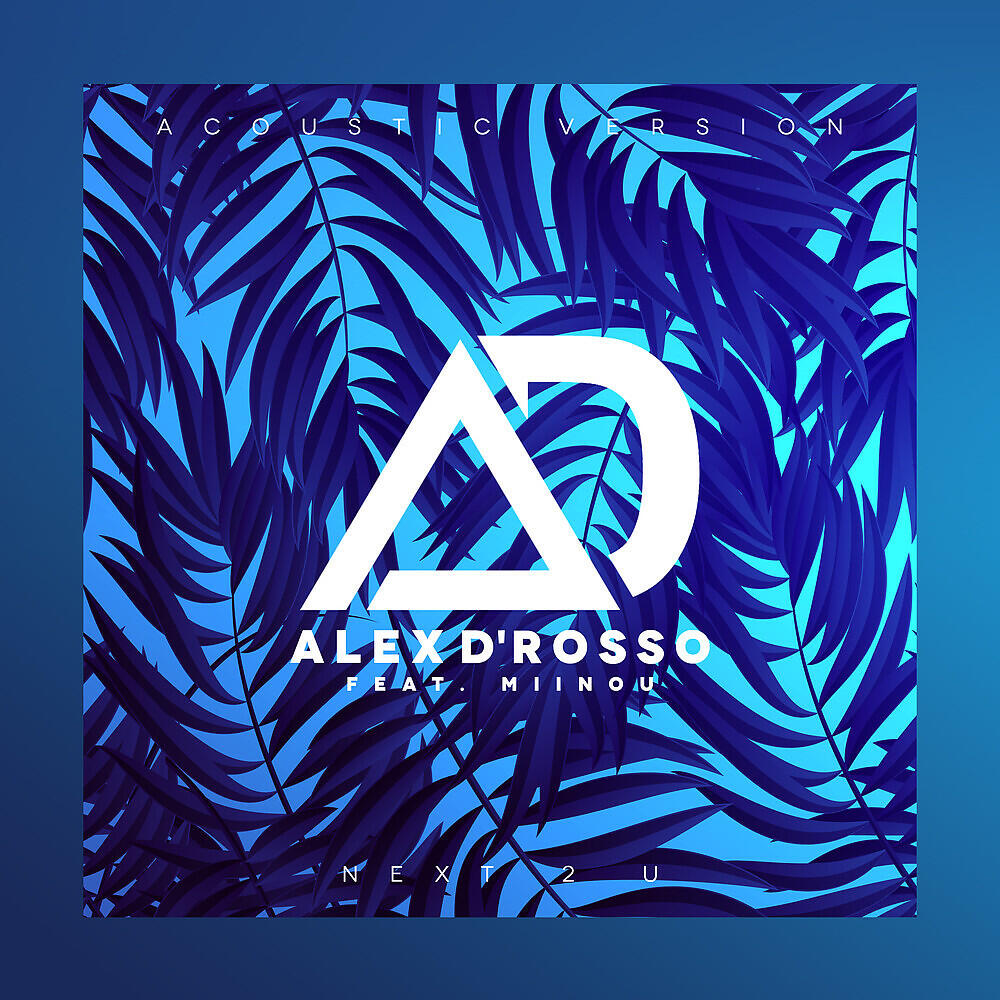 Alex D'Rosso - Next 2 U (Acoustic Version)