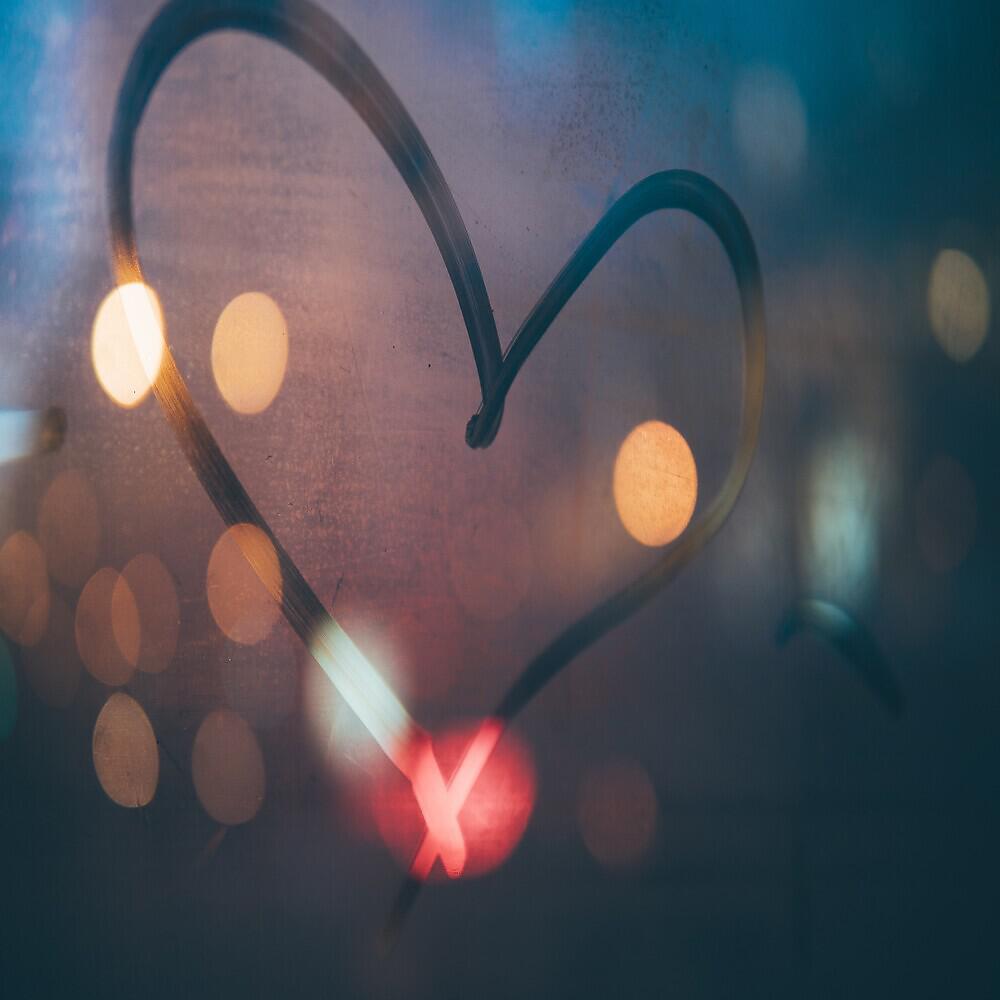 Shayne - Love