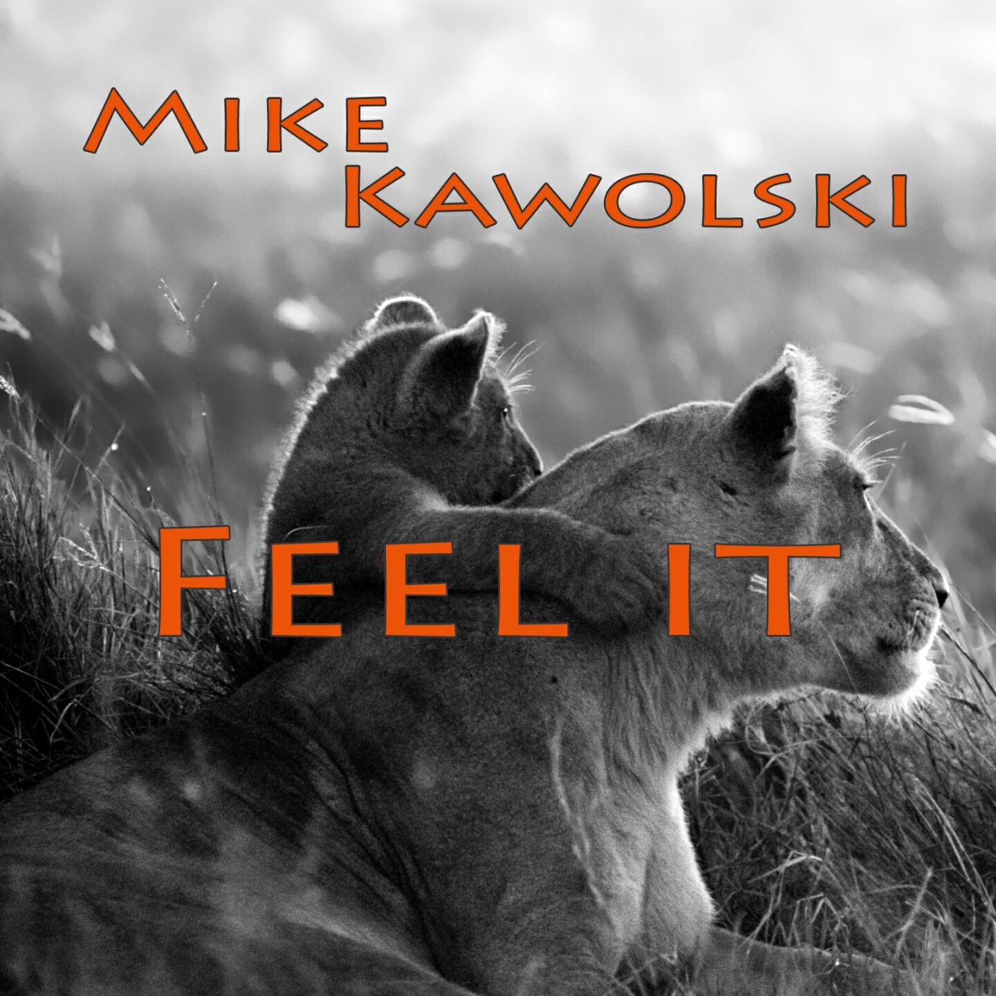 Mike Kawolski - Feel It (Martin Merkel Remix)