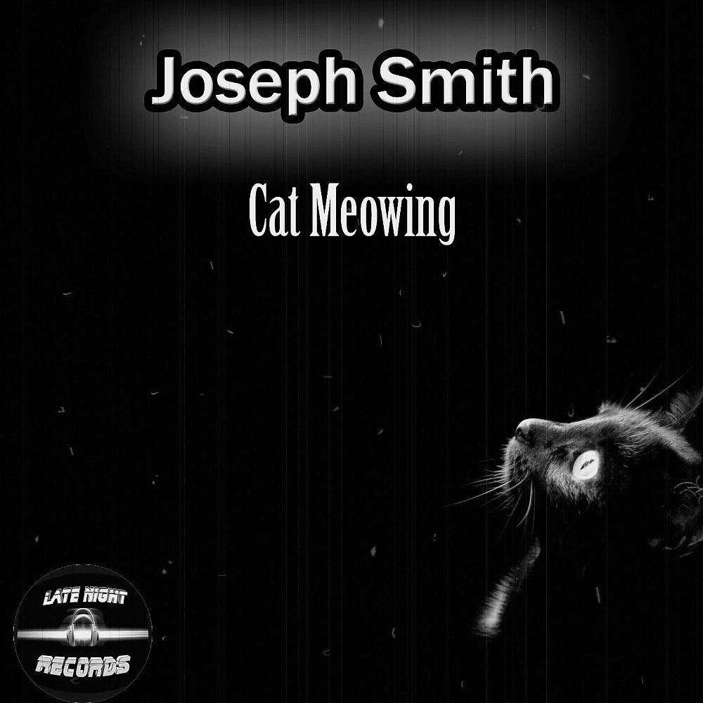 Постер альбома Cat Meowing