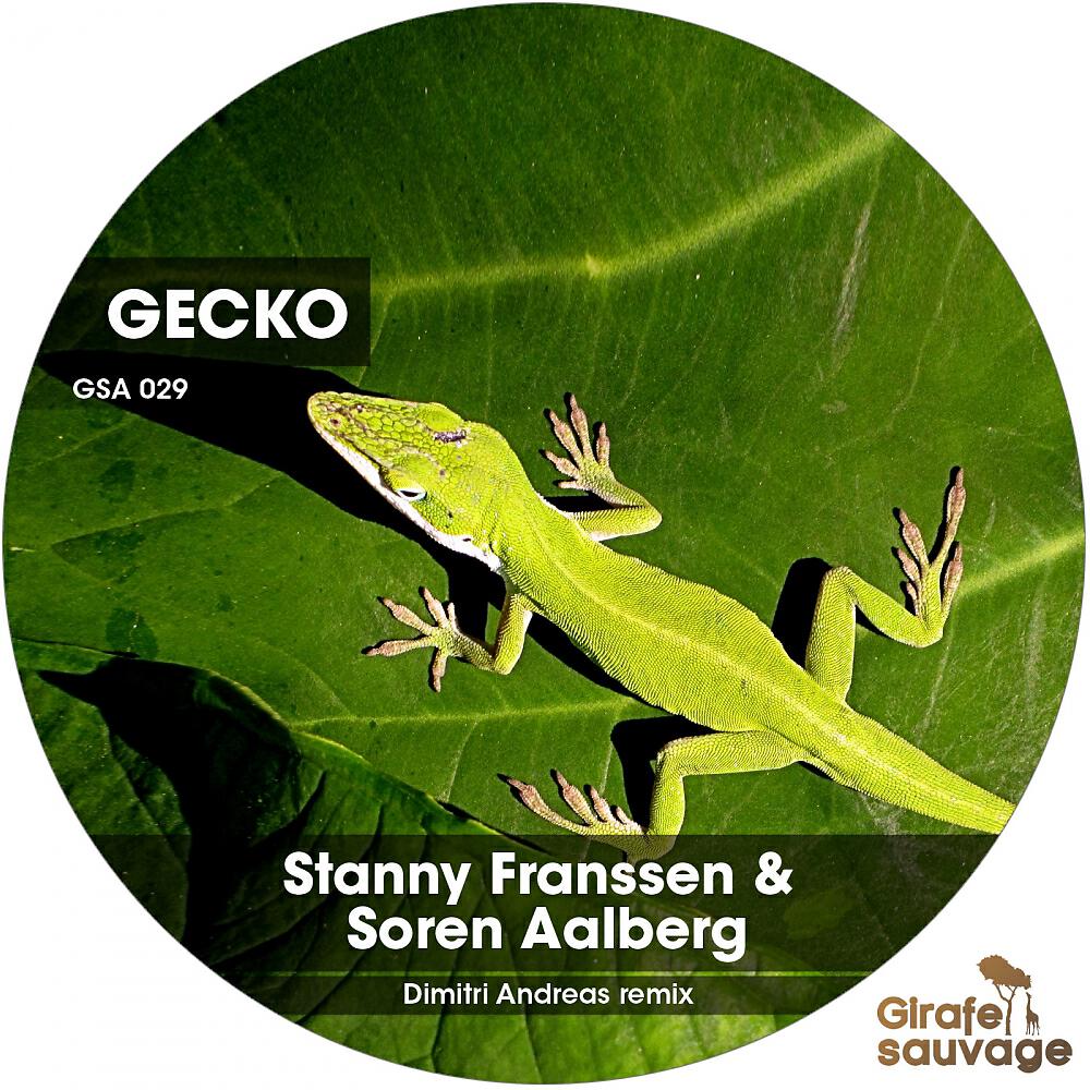 Stanny Franssen - Gecko (Soren Aalberg's A Bit More Groove Remix)