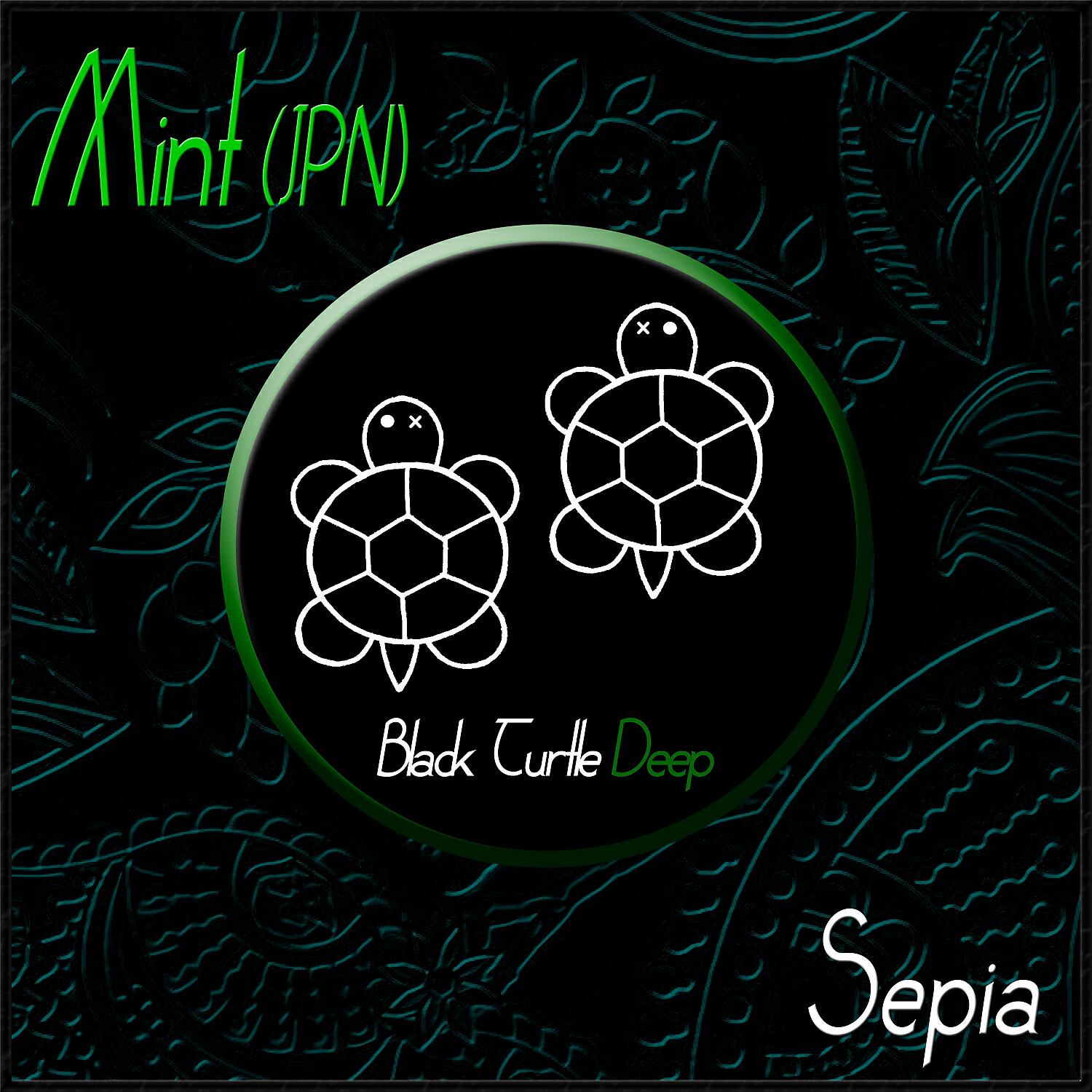 MINT (JPN) - True Self (Original Mix)