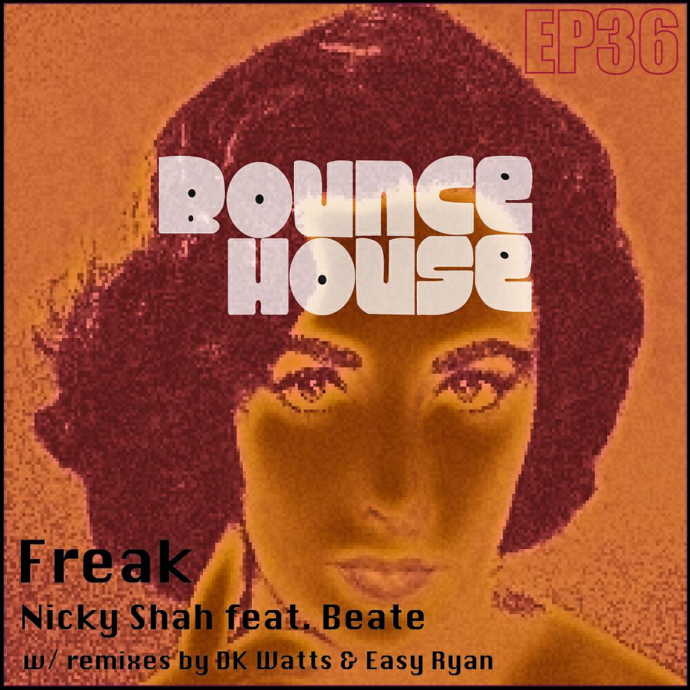 Nicky Shah - Freak (DK Watts freak u dub)