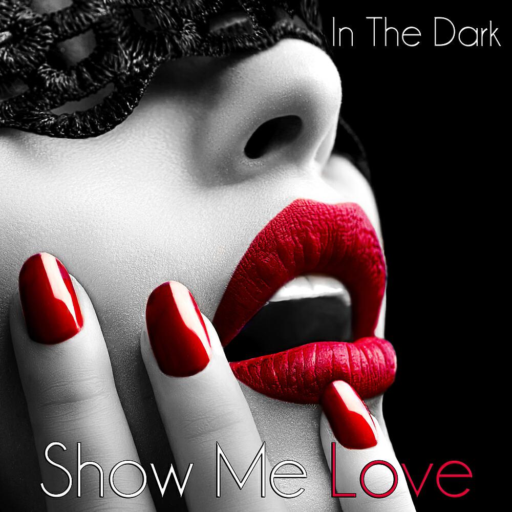 In The Dark - Show Me Love (Transcode Remix)