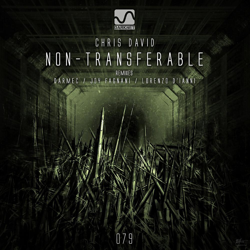 Chris David - Non-Transferable (Joy Fagnani Remix)