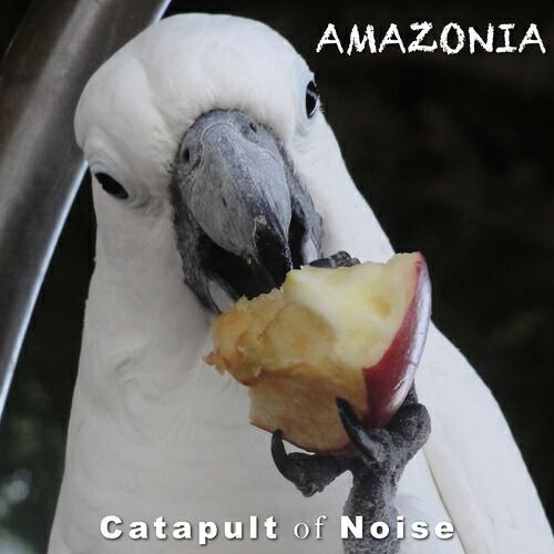 Catapult of Noise - Synthetica