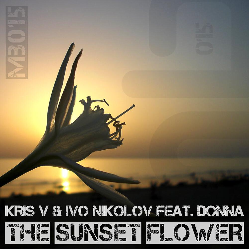 Kris - The Sunset Flower (Vinid Remix)