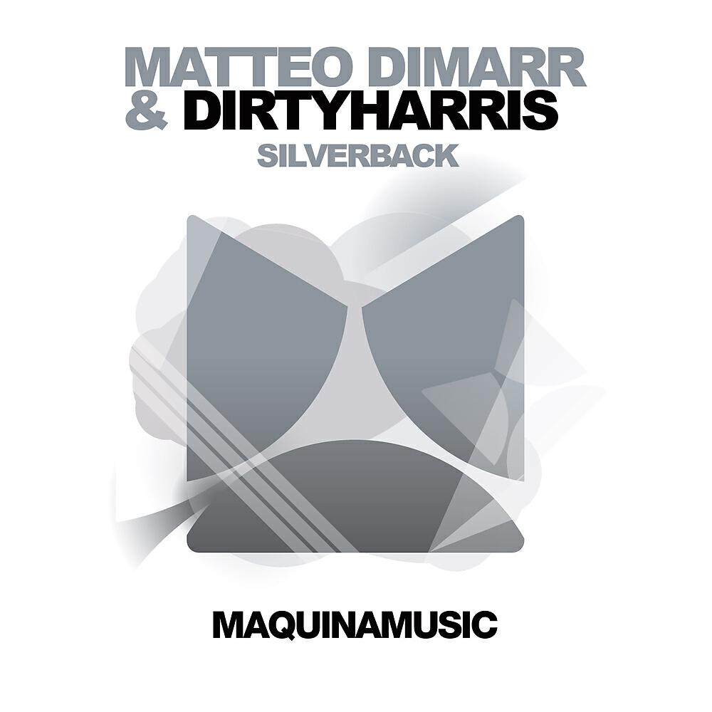 Matteo DiMarr - Silverback