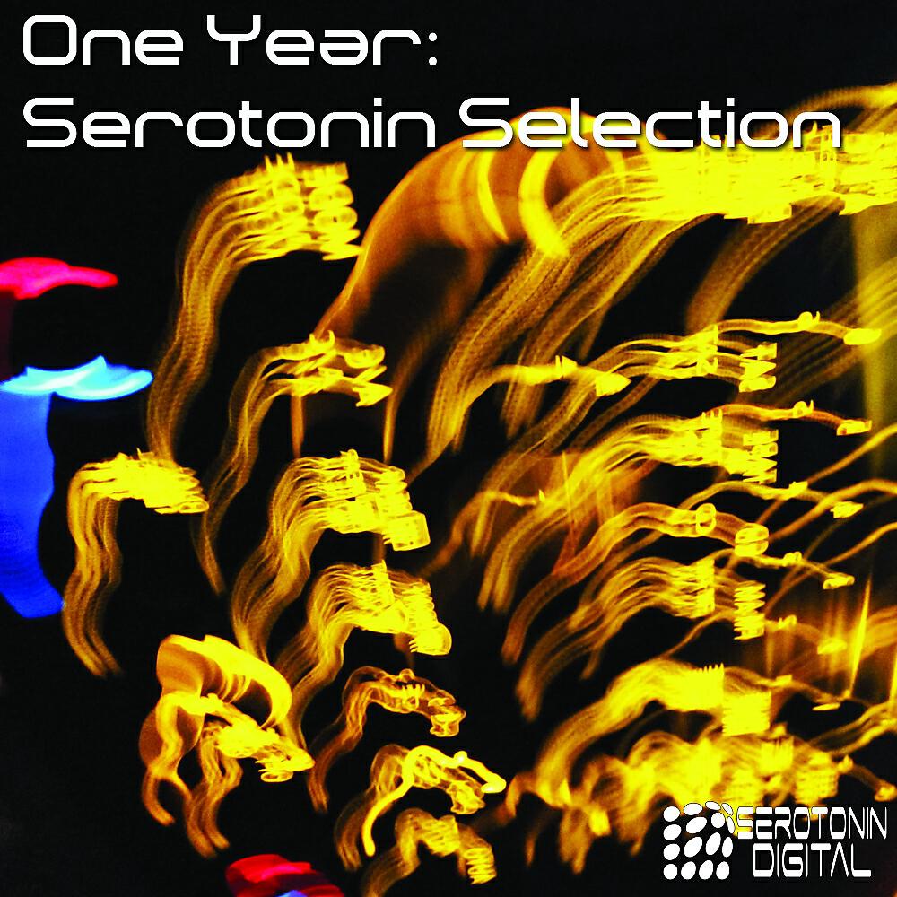 Squicciarini - Feel The Dance Floor (Serotonin Thieves Remix)