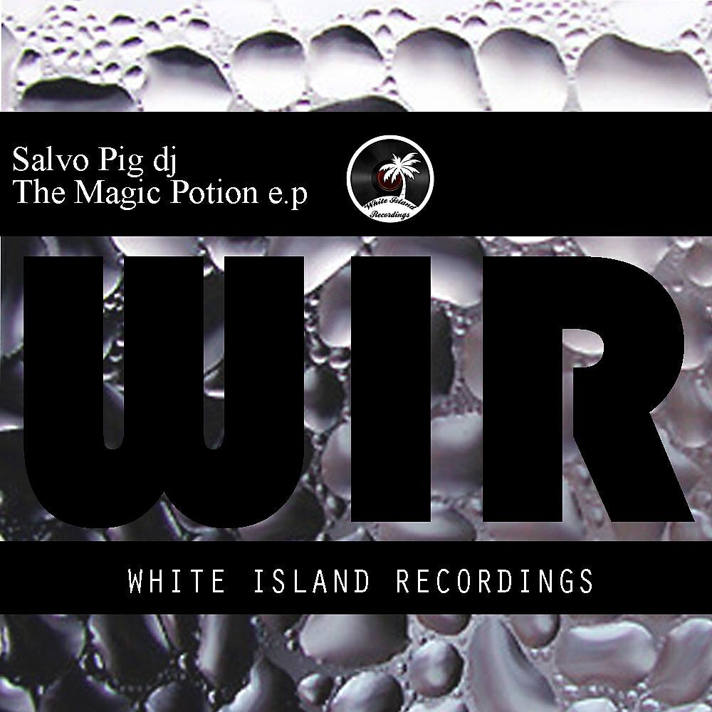 Salvo Pig Dj - Kill The Sound