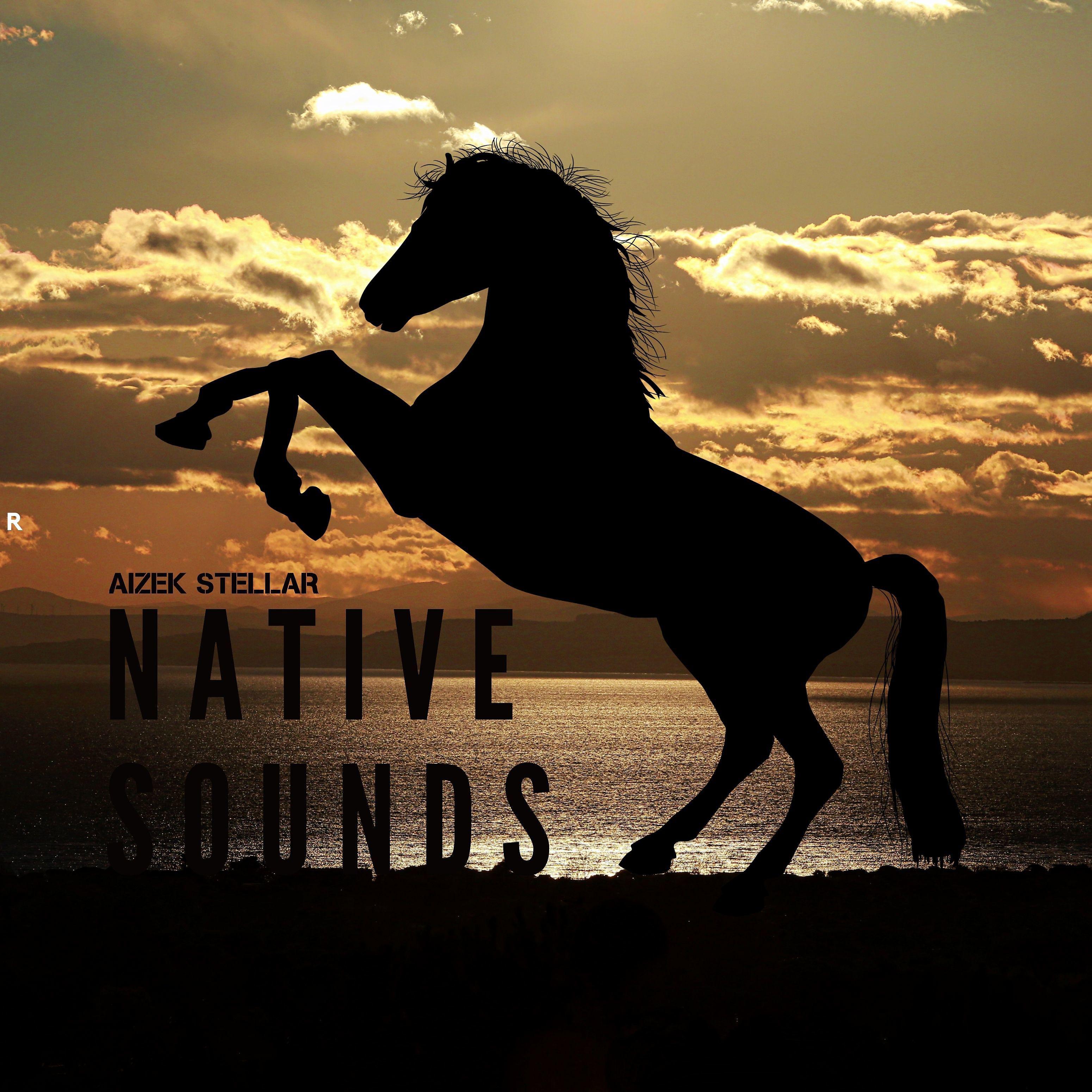 Постер альбома Native Sounds