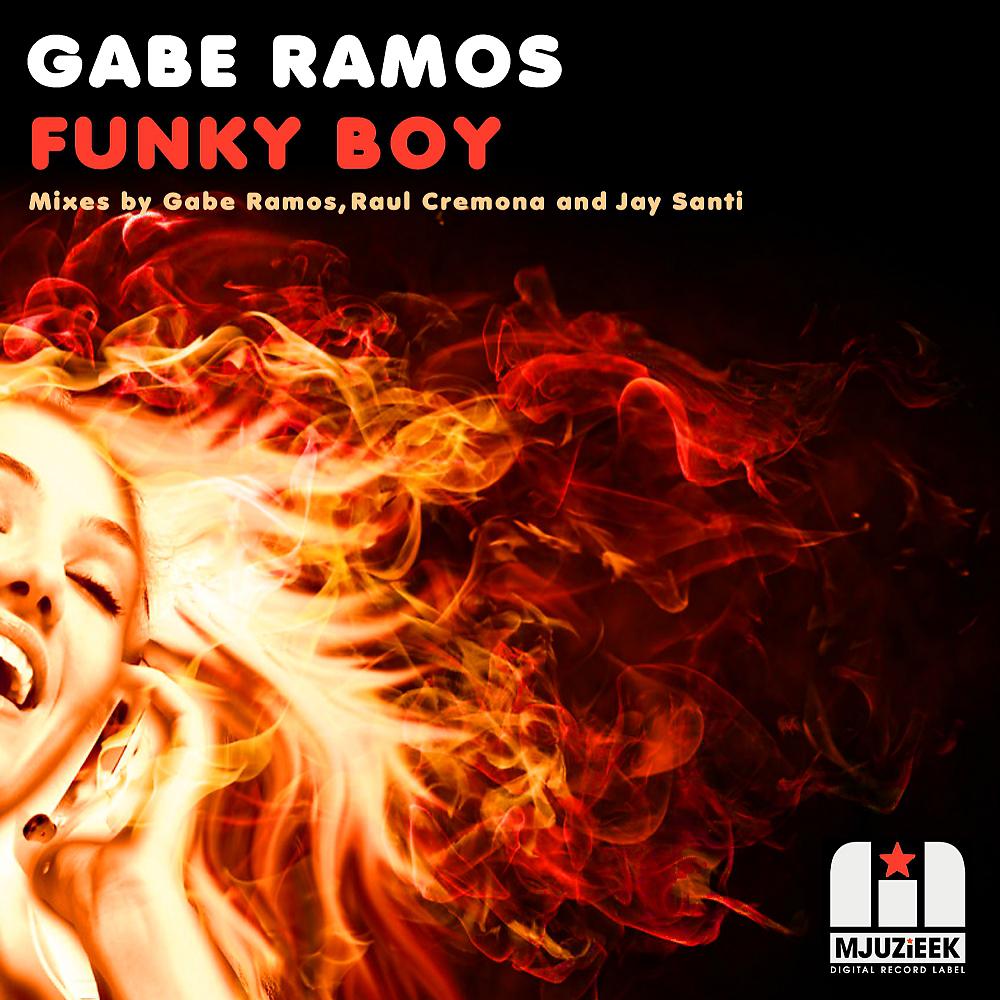 Постер альбома Funky Boy