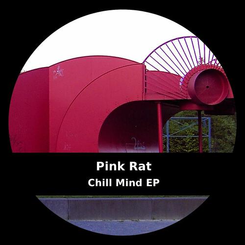 Pink Rat - Who Breaks Pays