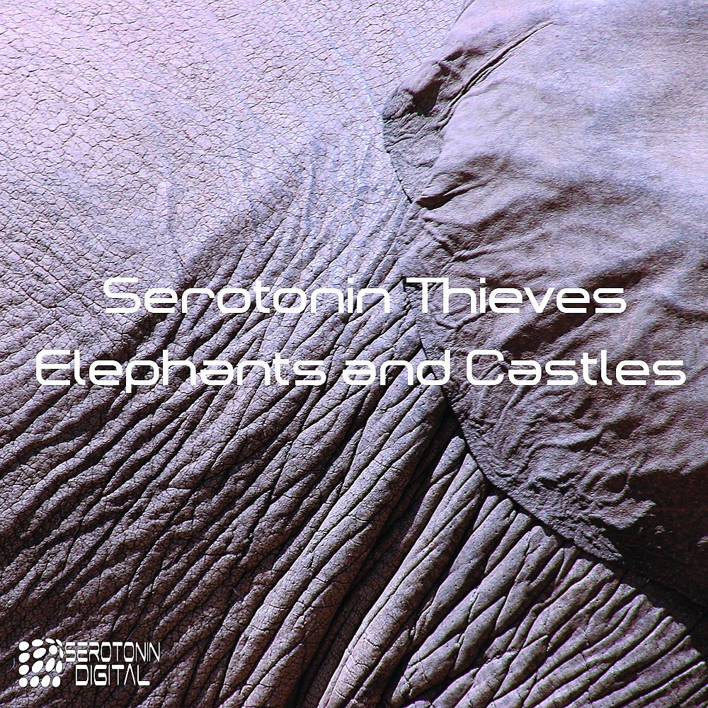 Постер альбома Elephants and Castles