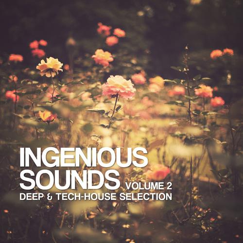 Постер альбома Ingenious Sounds, Vol. 2