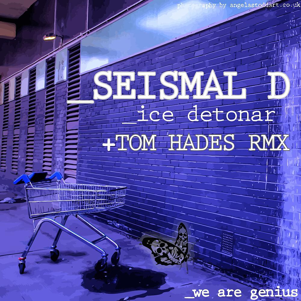 Seismal D - Ice Detonar (Tom Hades Remix)