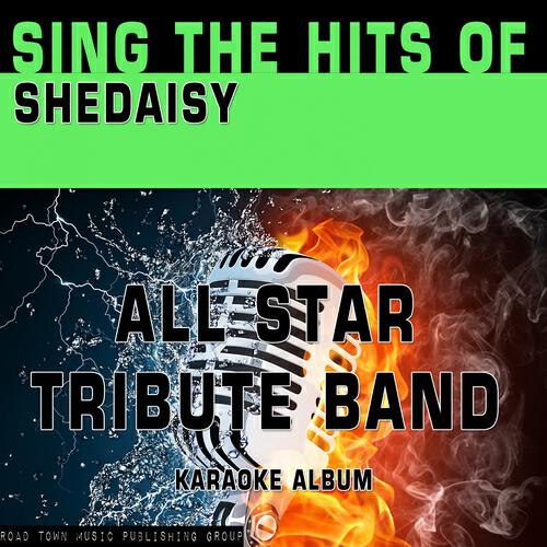 All Star Tribute Band - I Will ... But (Karaoke Version) (Originally Performed By Shedaisy)