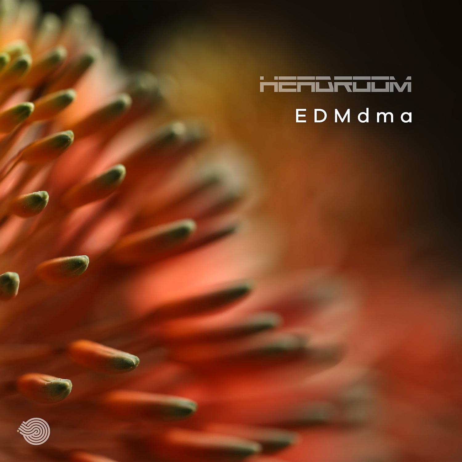 Постер альбома Edmdma