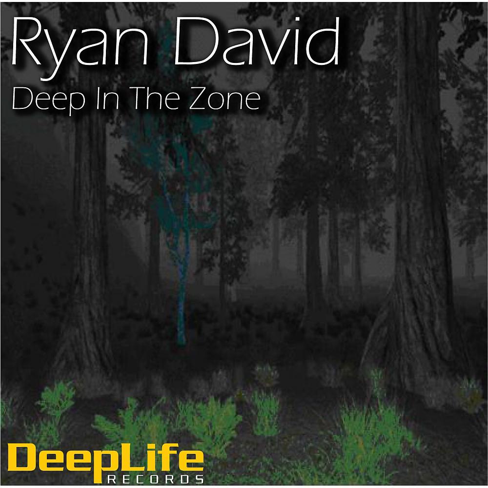 Постер альбома Deep In The Zone