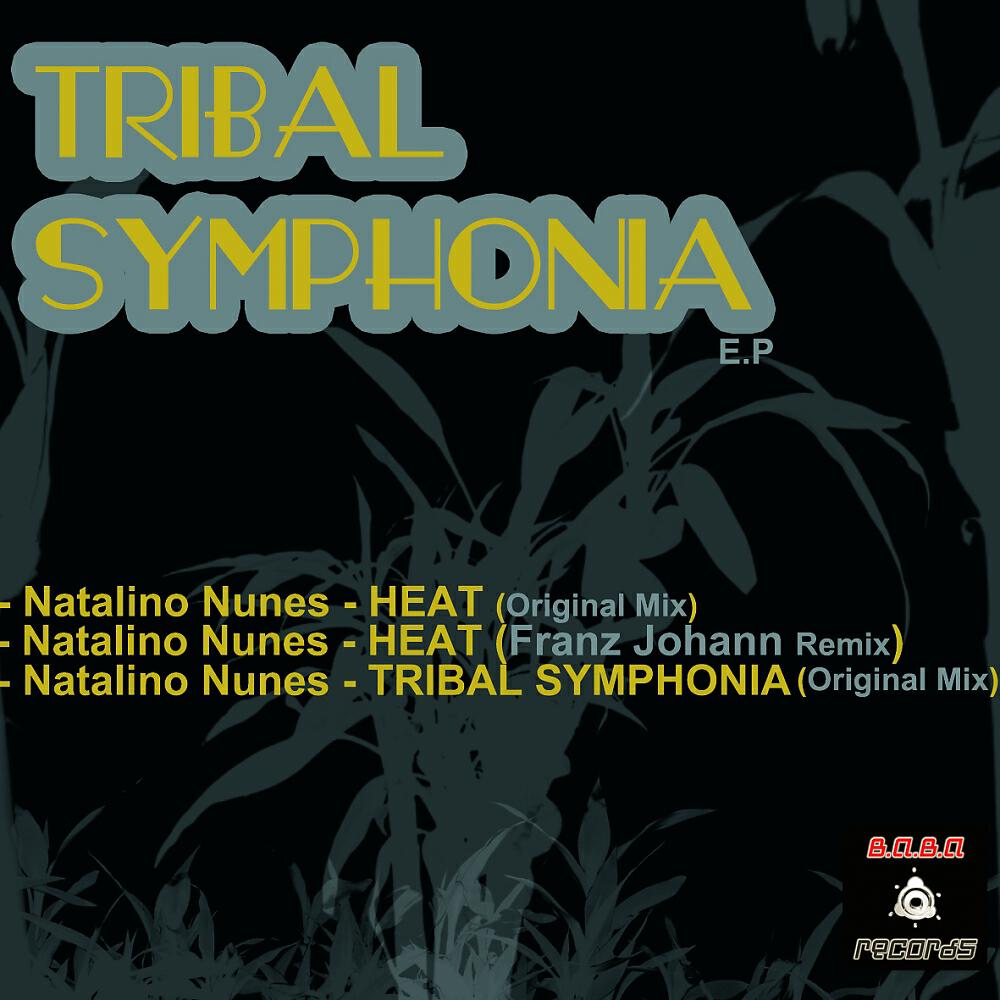 NATALINO NUNES - Heat (Franz Johann Remix)