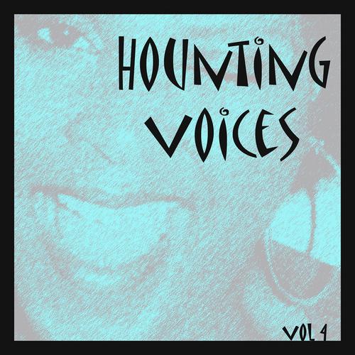 Постер альбома Hounting Voices, Vol.4 (The Wizard of Oz)