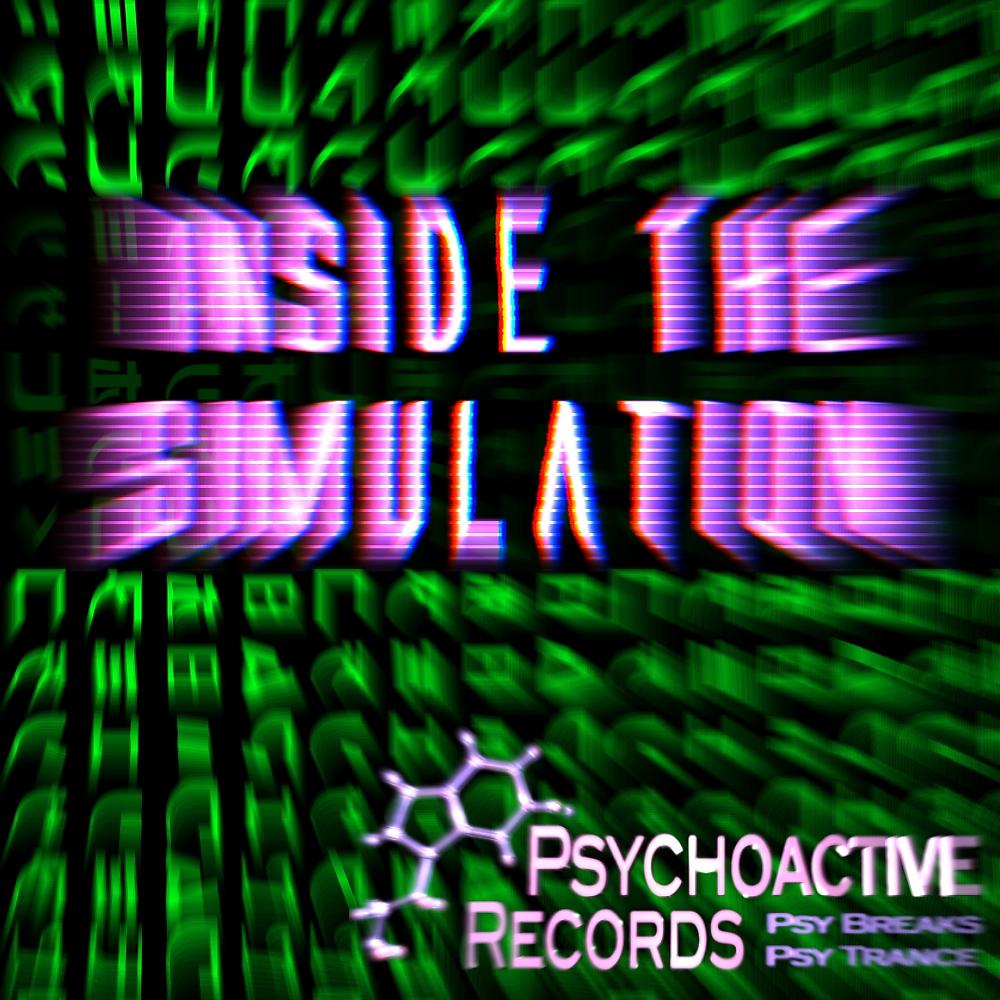 Постер альбома Inside The Simulation