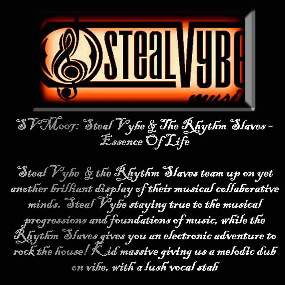 Steal Vybe - Essence Of Life (Steal Vybe Instrumental Mix)