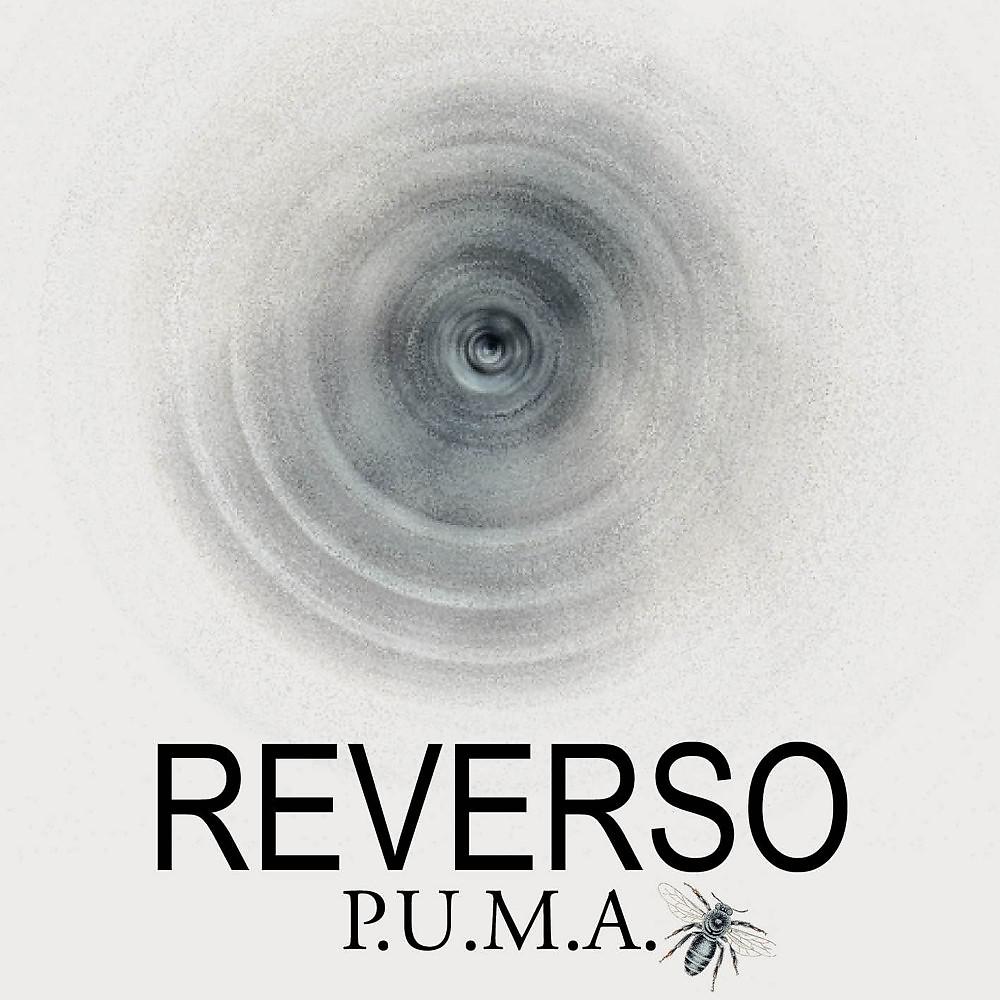 Постер альбома Reverso