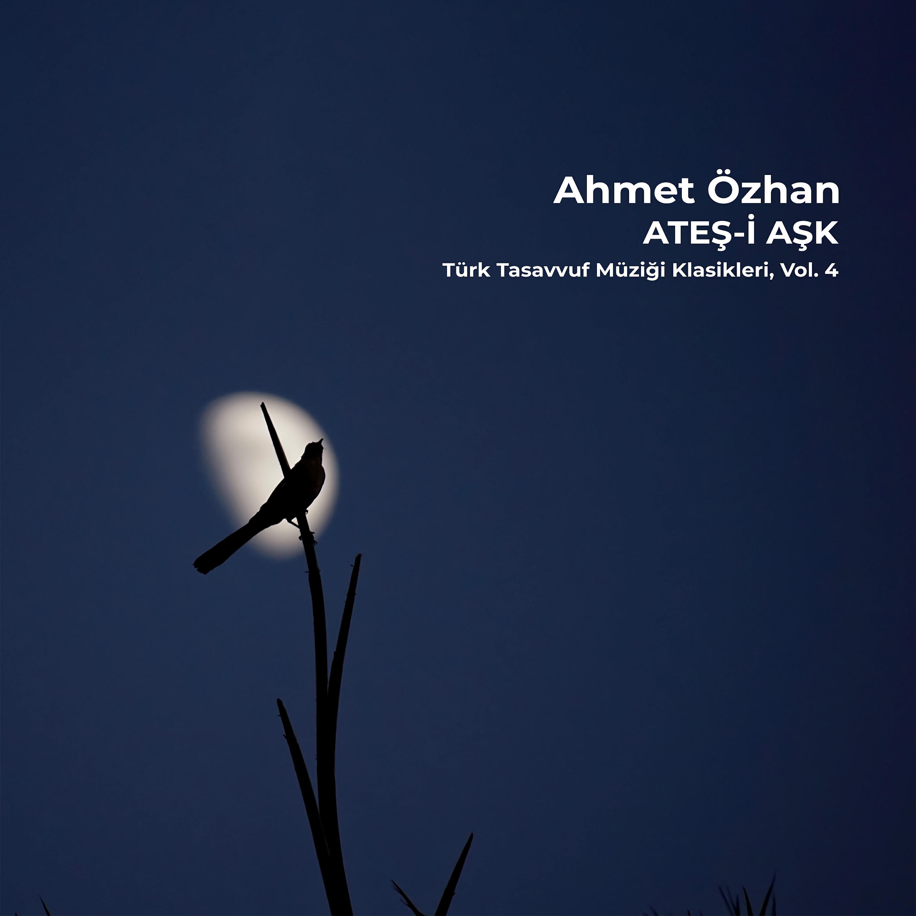 Ahmet Özhan - Hicaz Ara Taksimi
