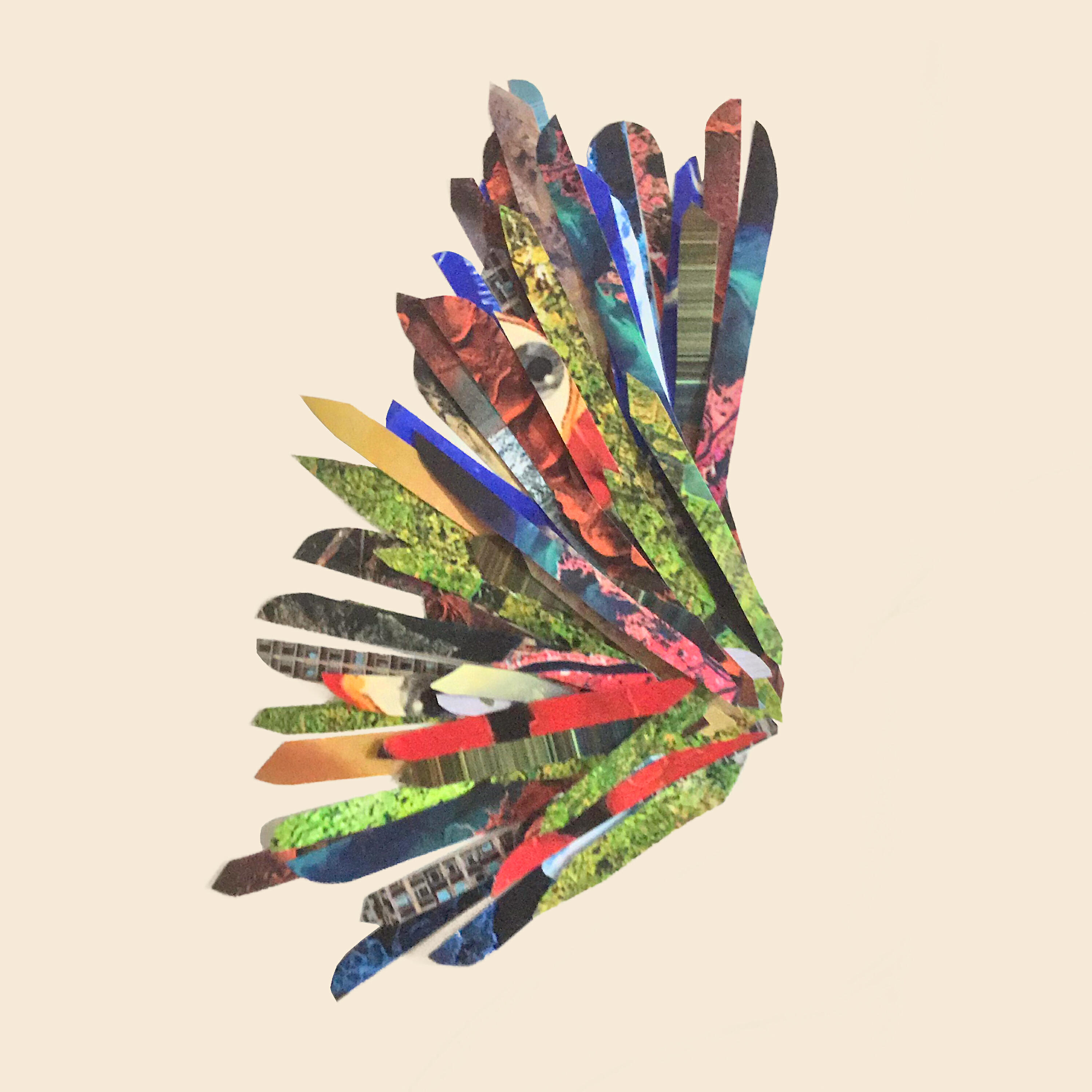 Meyot - Grades
