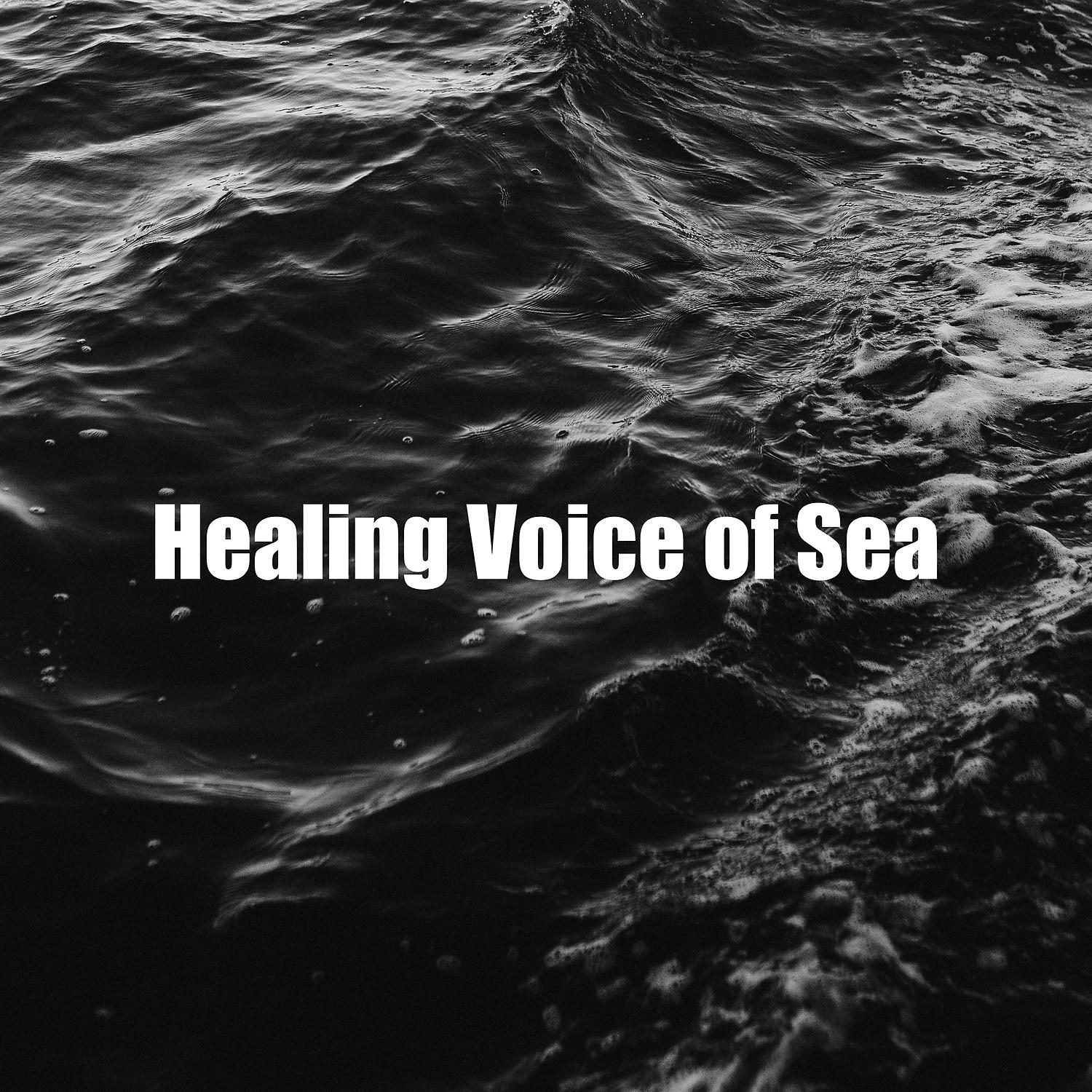 Постер альбома Healing Voice of Sea
