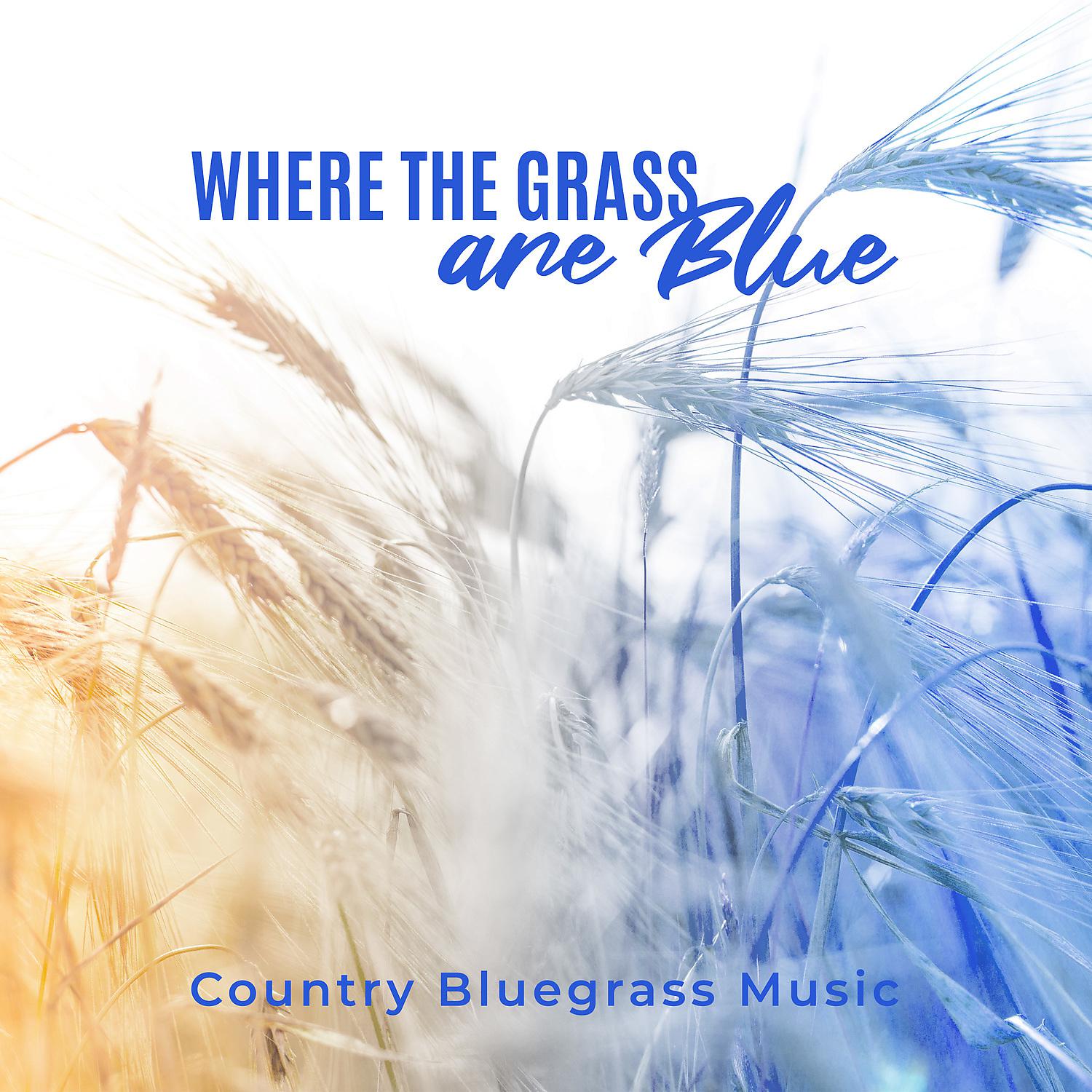 Постер альбома Where the Grass Are Blue - Country Bluegrass Music