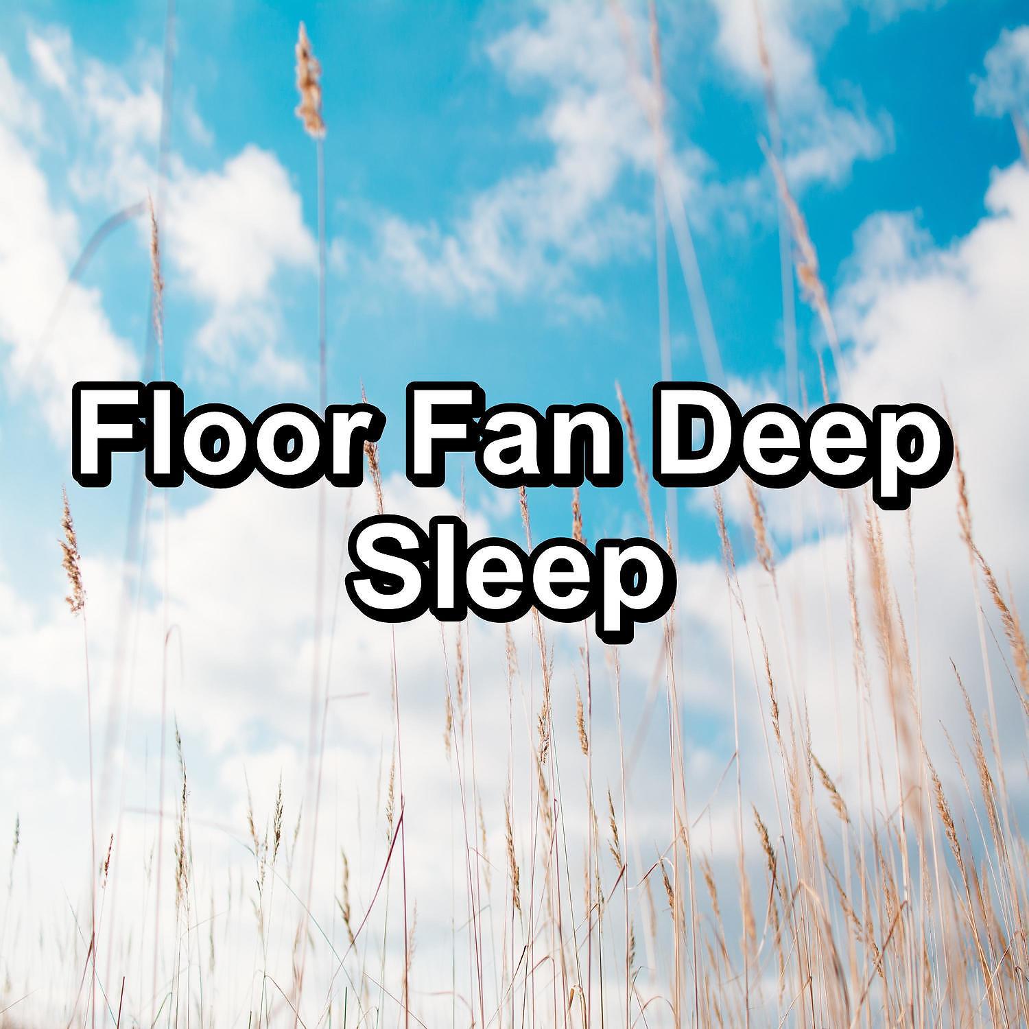 Постер альбома Floor Fan Deep Sleep