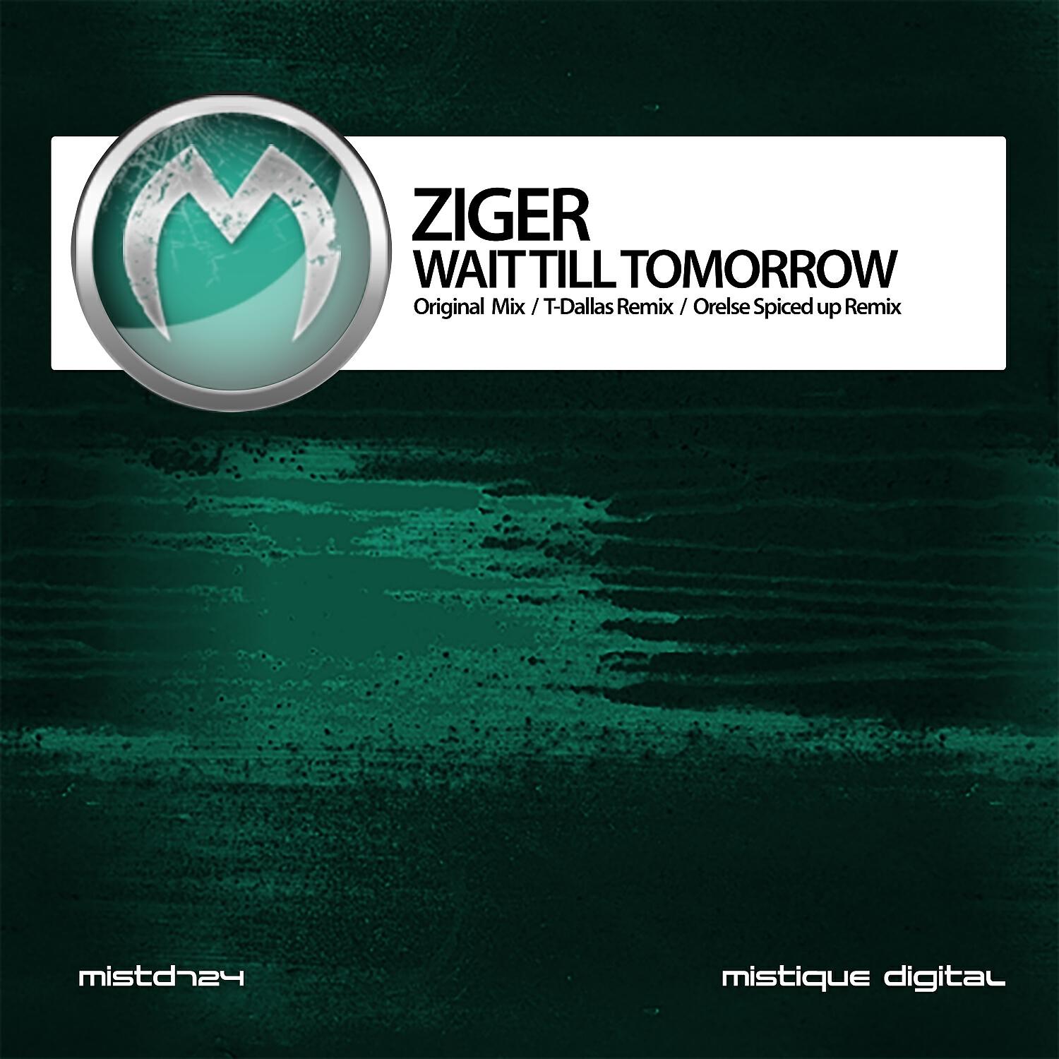 ZIGER - Wait Till Tomorrow (Orelse Spiced up Remix)