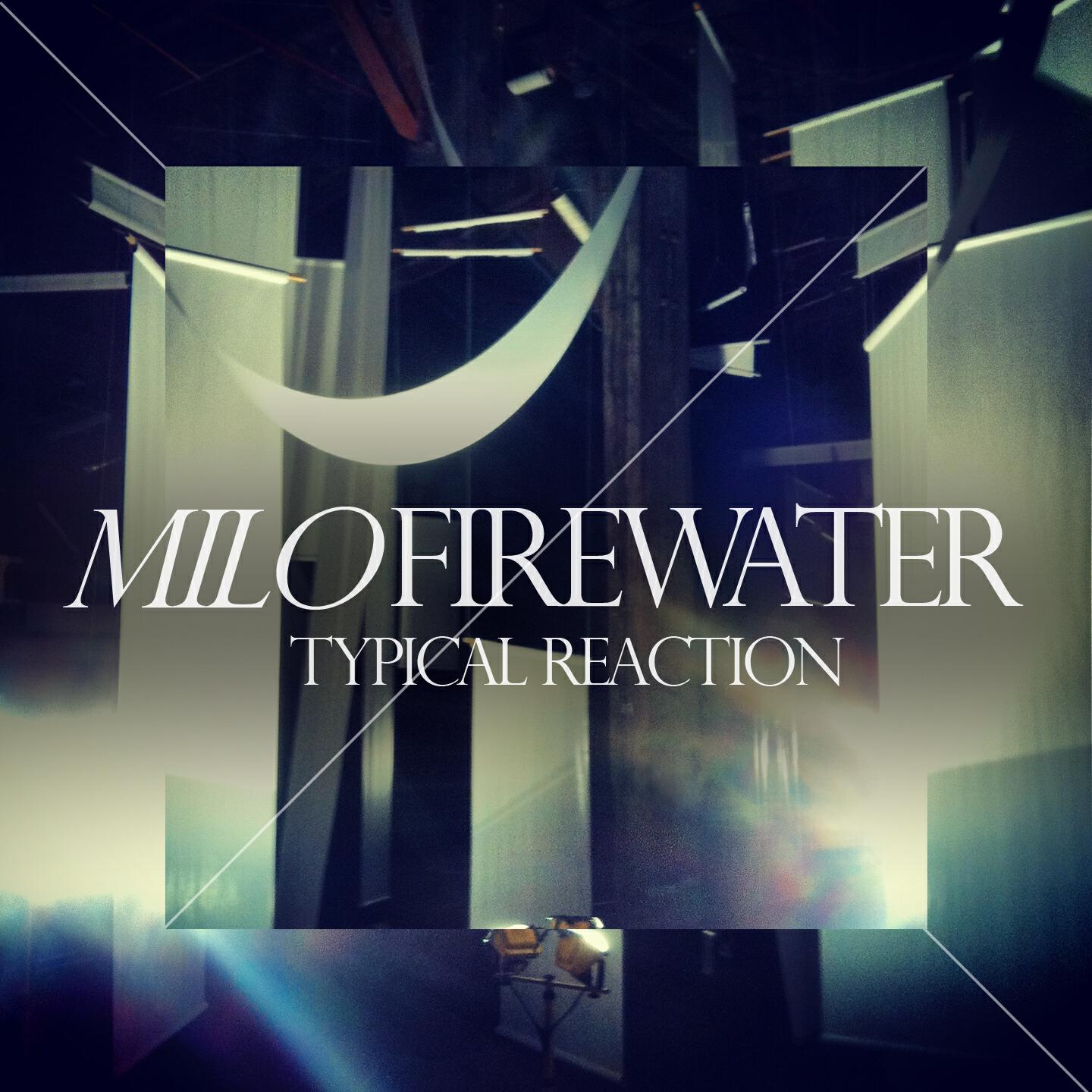 Milo Firewater - Typical Reaction (Noska Remix)