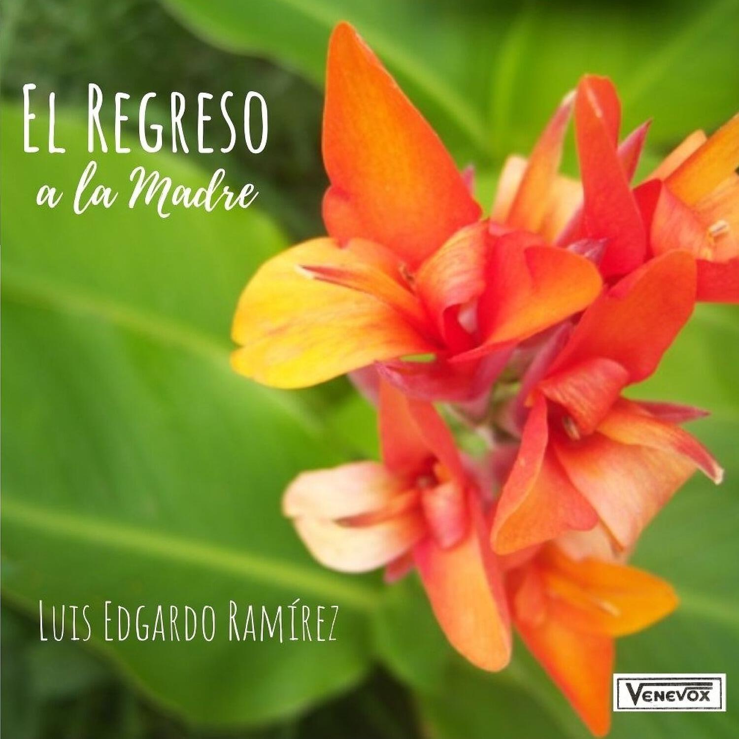 Luis Edgardo Ramirez - De tu Ausencia
