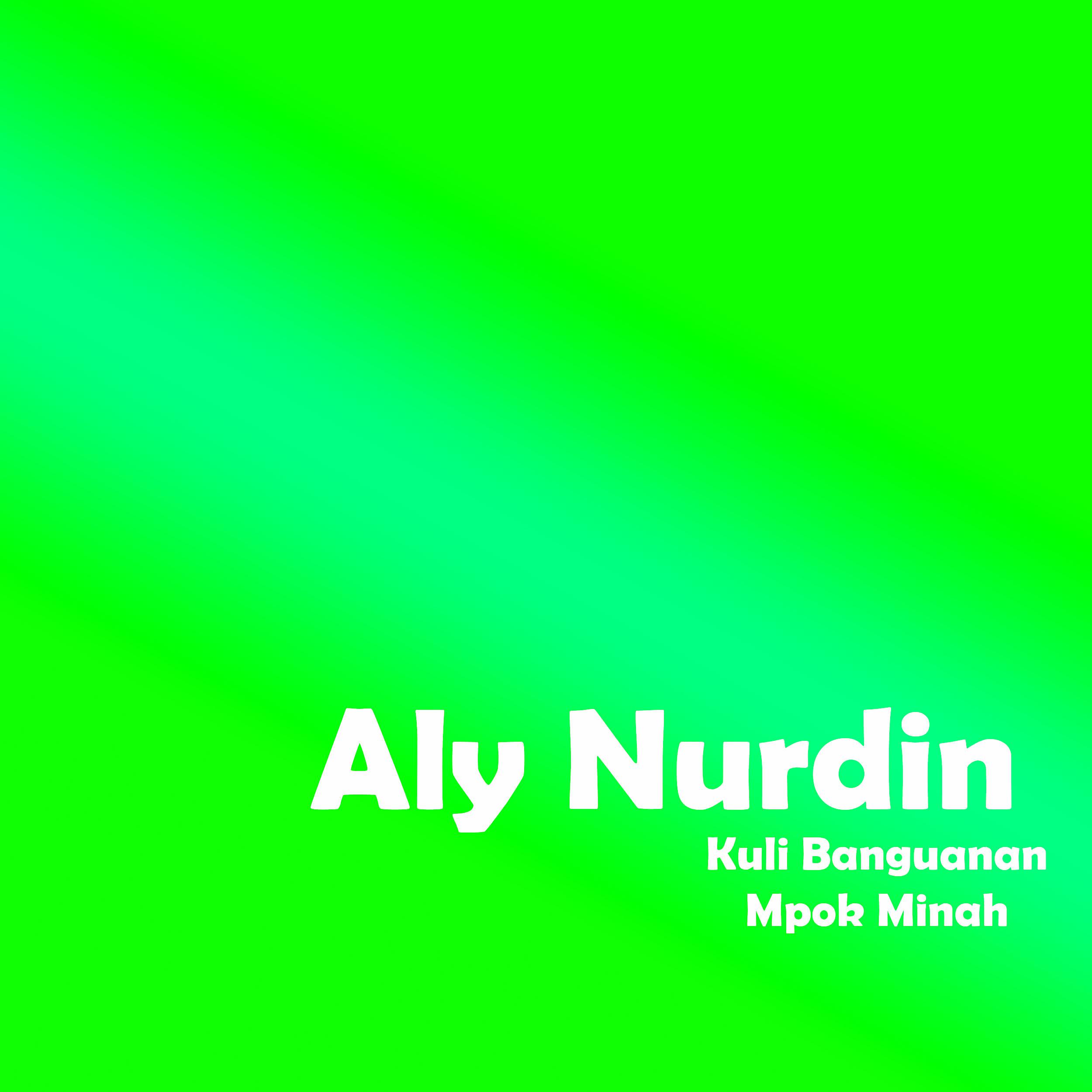 Постер альбома Aly Nurdin