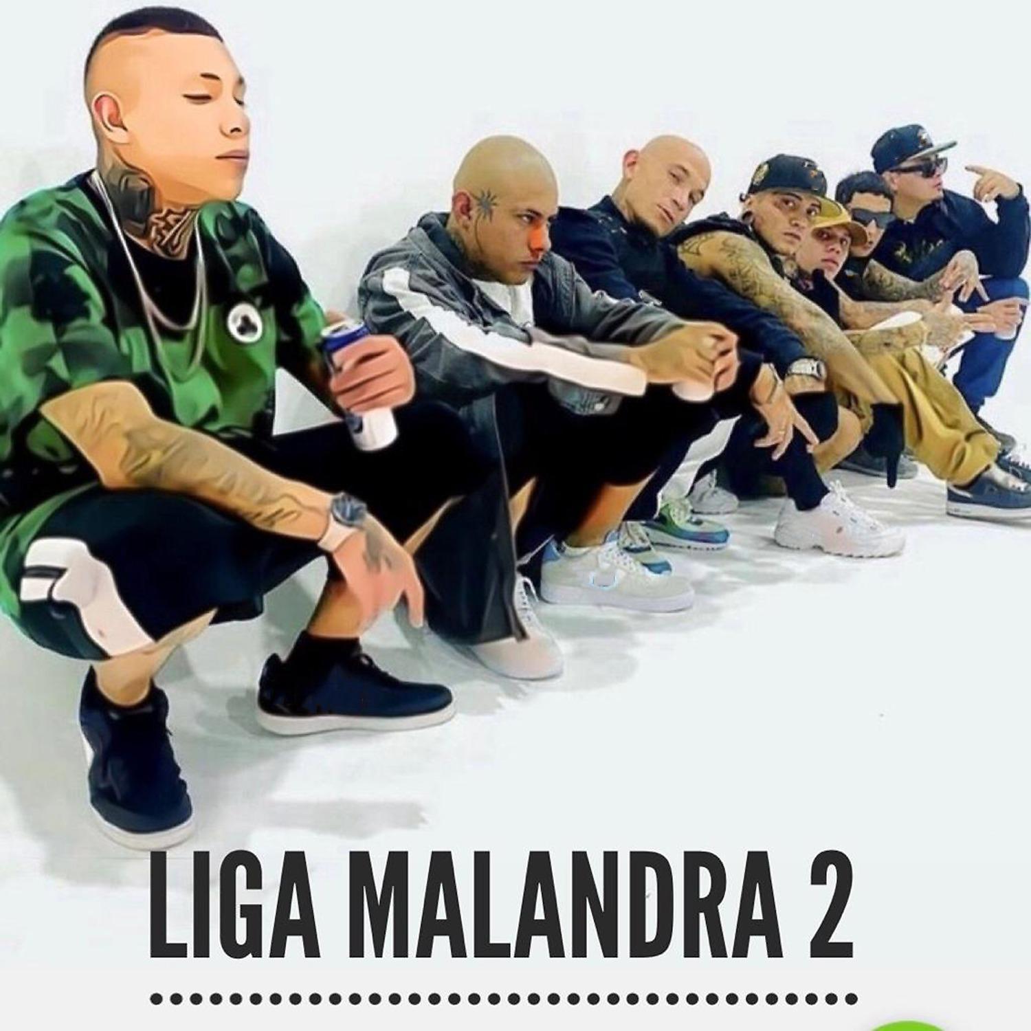 Постер альбома Liga Malandra 2