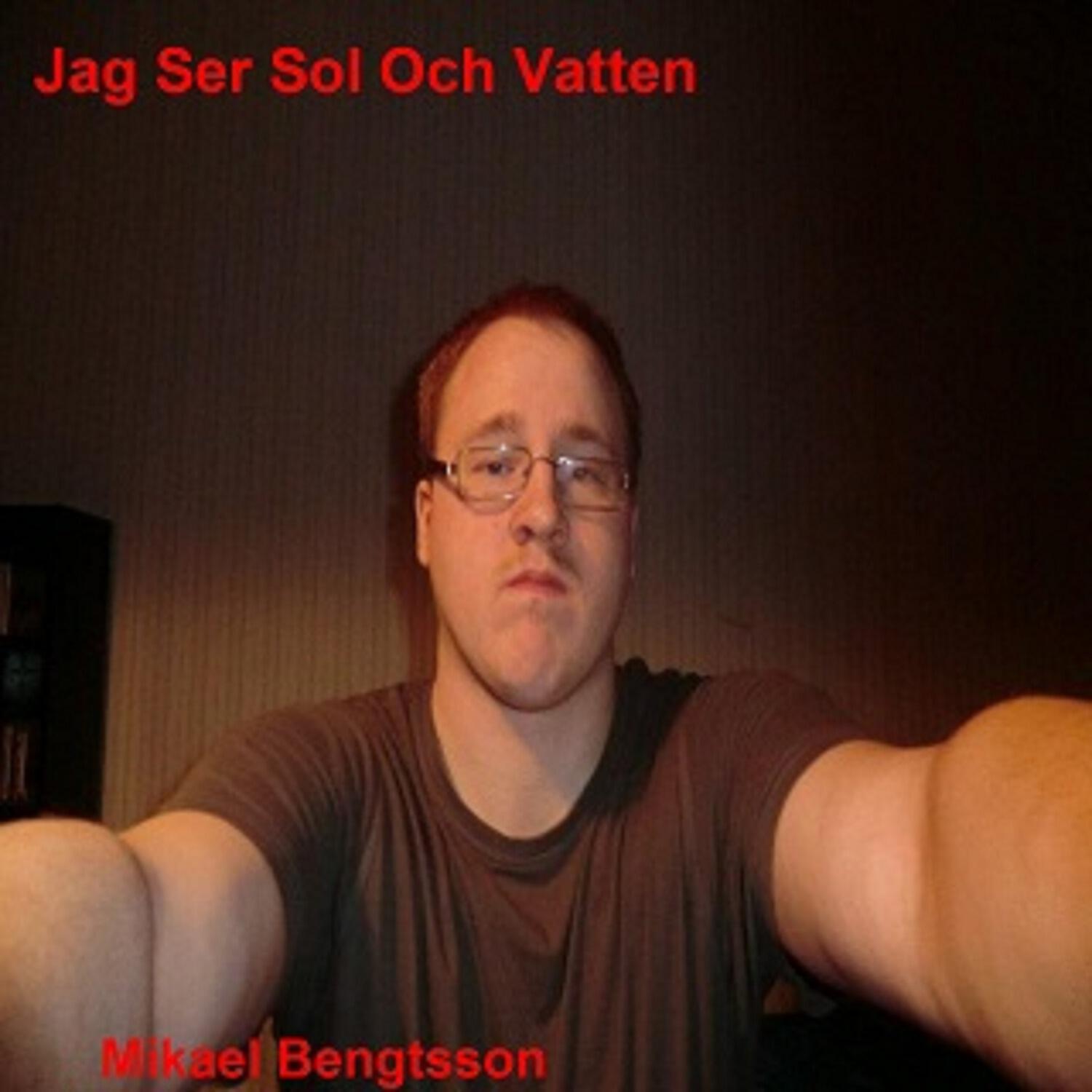 Mikael Bengtsson - Heja Timrå Laget Vi ska vinna och bekämpa