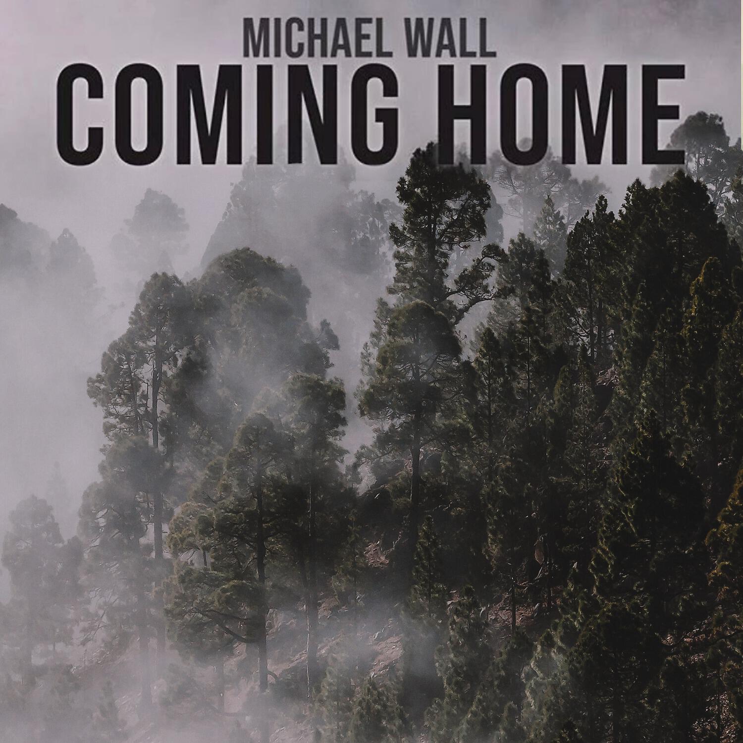 Michael Wall - Reflections