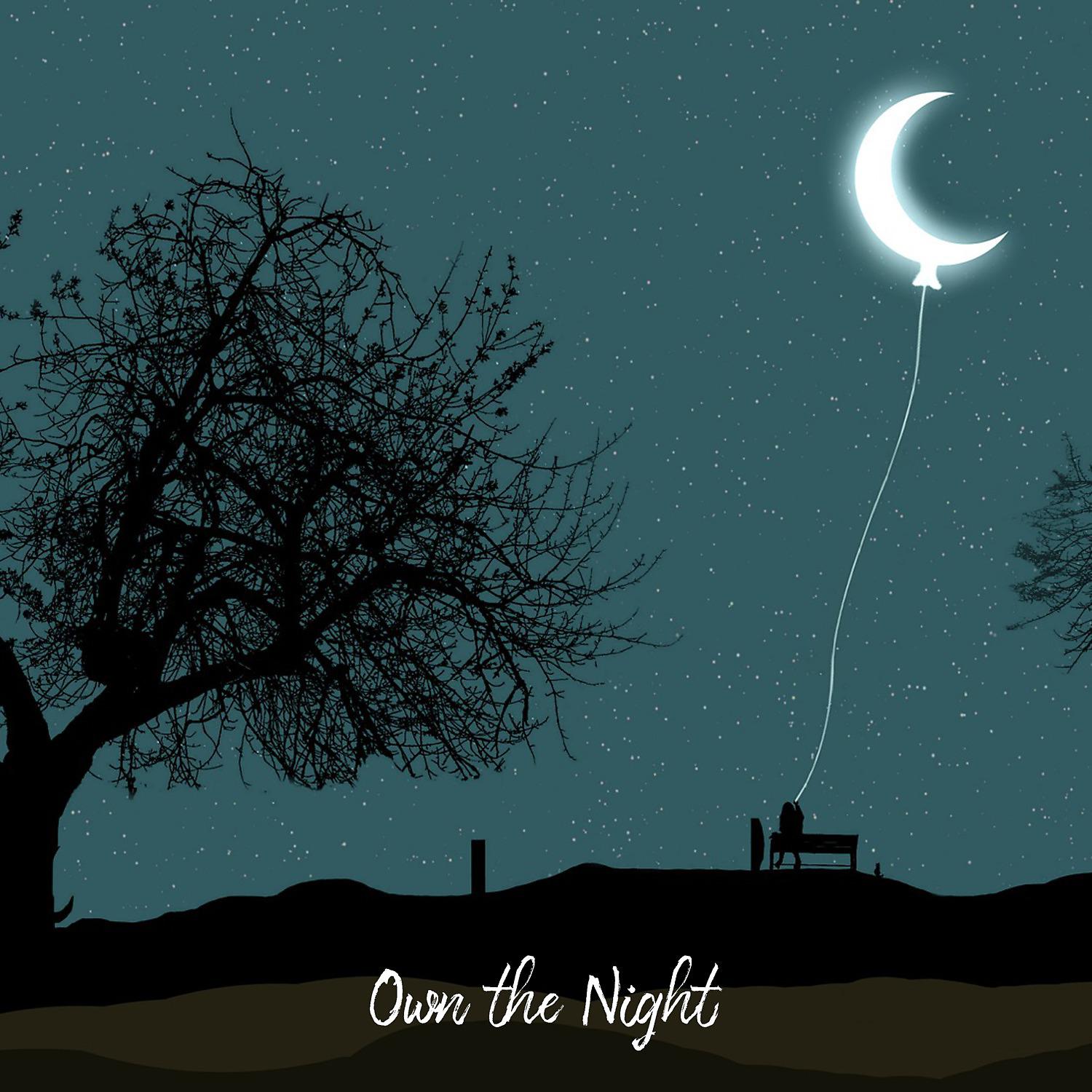 Постер альбома Own the Night