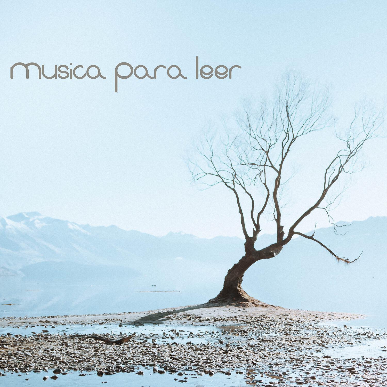 Musica Para Leer - Nigeria