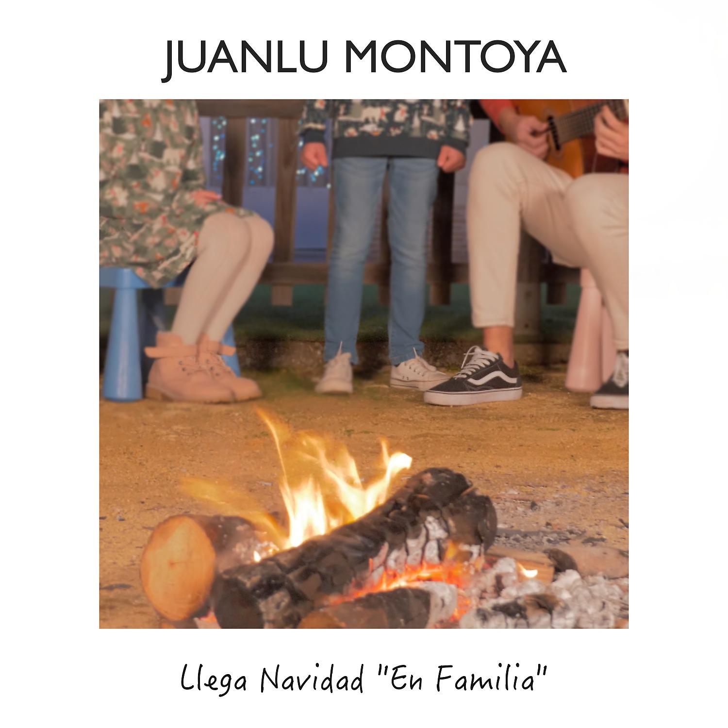 Постер альбома Llega Navidad "En Familia"