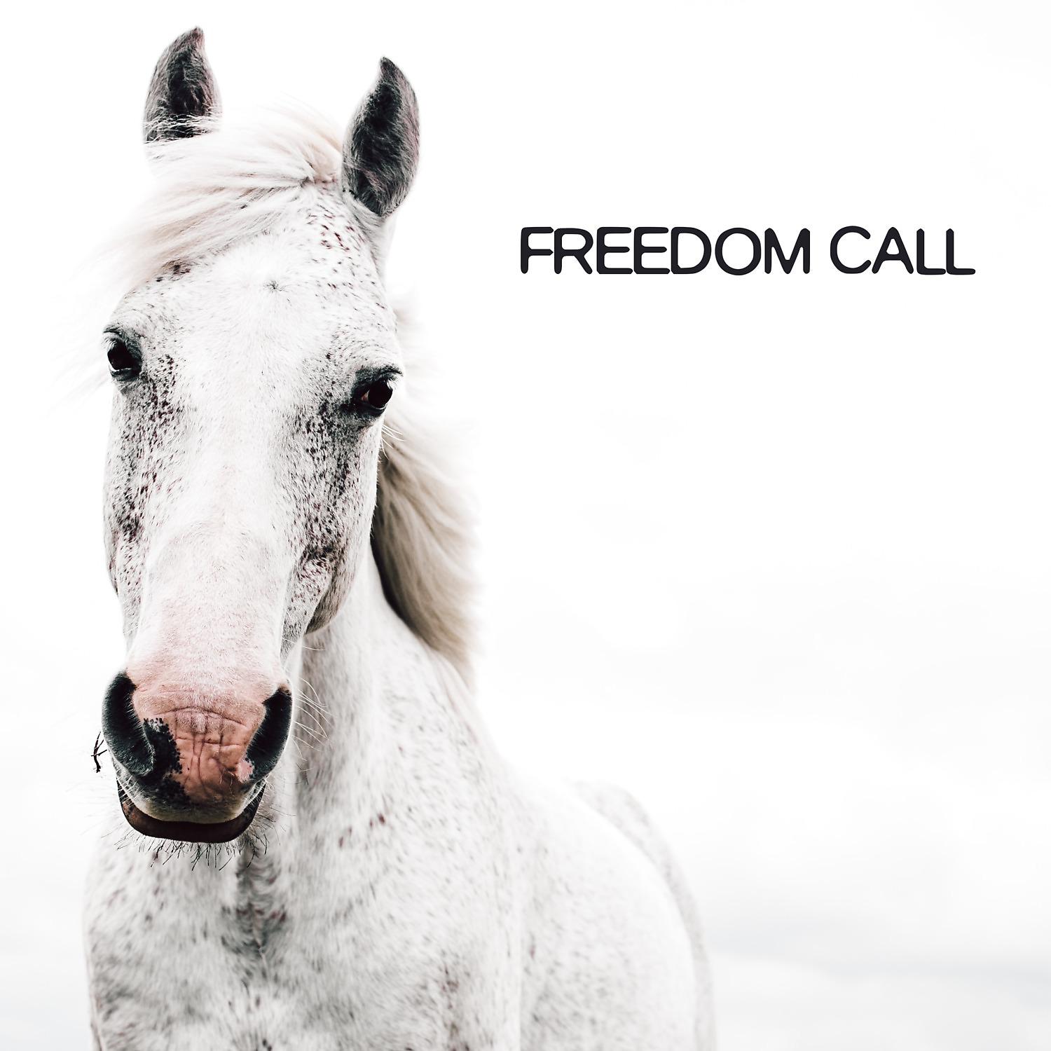 Постер альбома Freedom Call