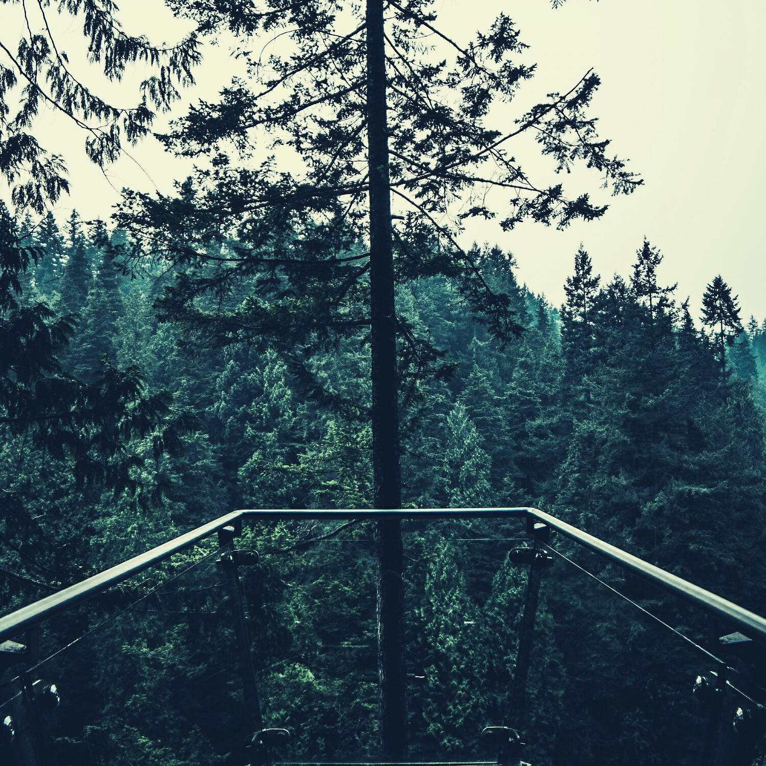Easy Listening Soft Jazz - Peaceful Backdrops for Relaxing Moods