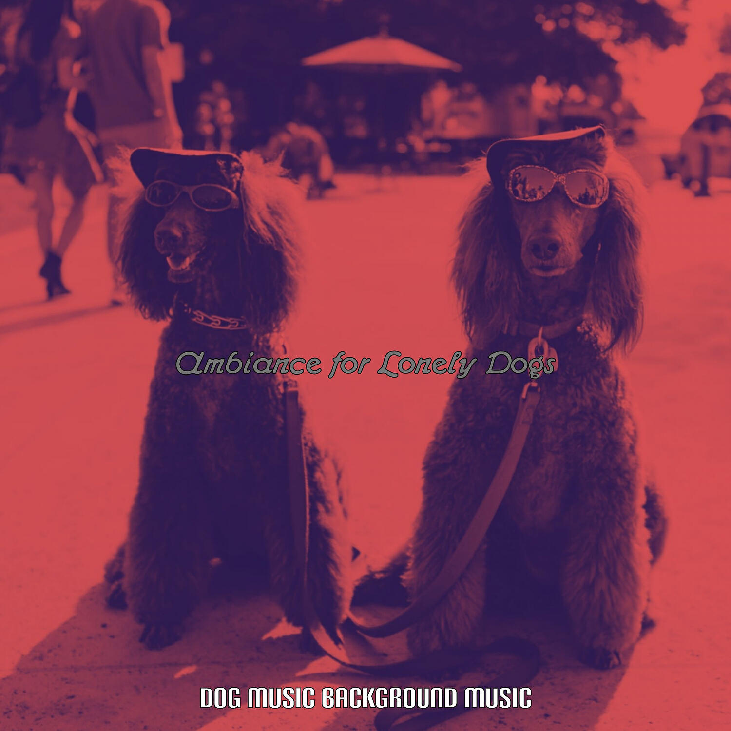 Dog Music Background Music - Easy Listening Acoustic Guitar Soundtrack for Walking Dogs