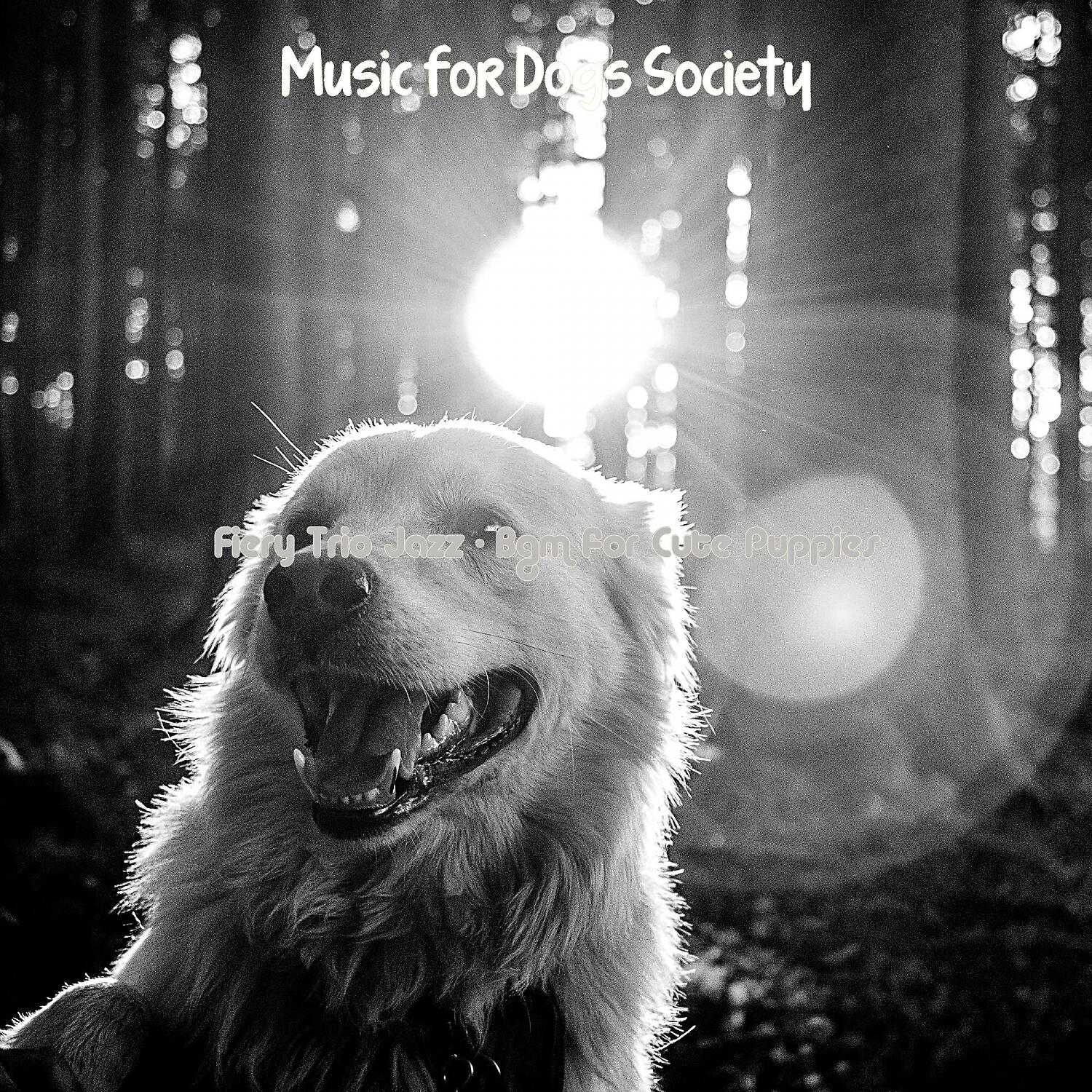 Music for Dogs Society - Bubbly Ambiance for Sleeping Dogs