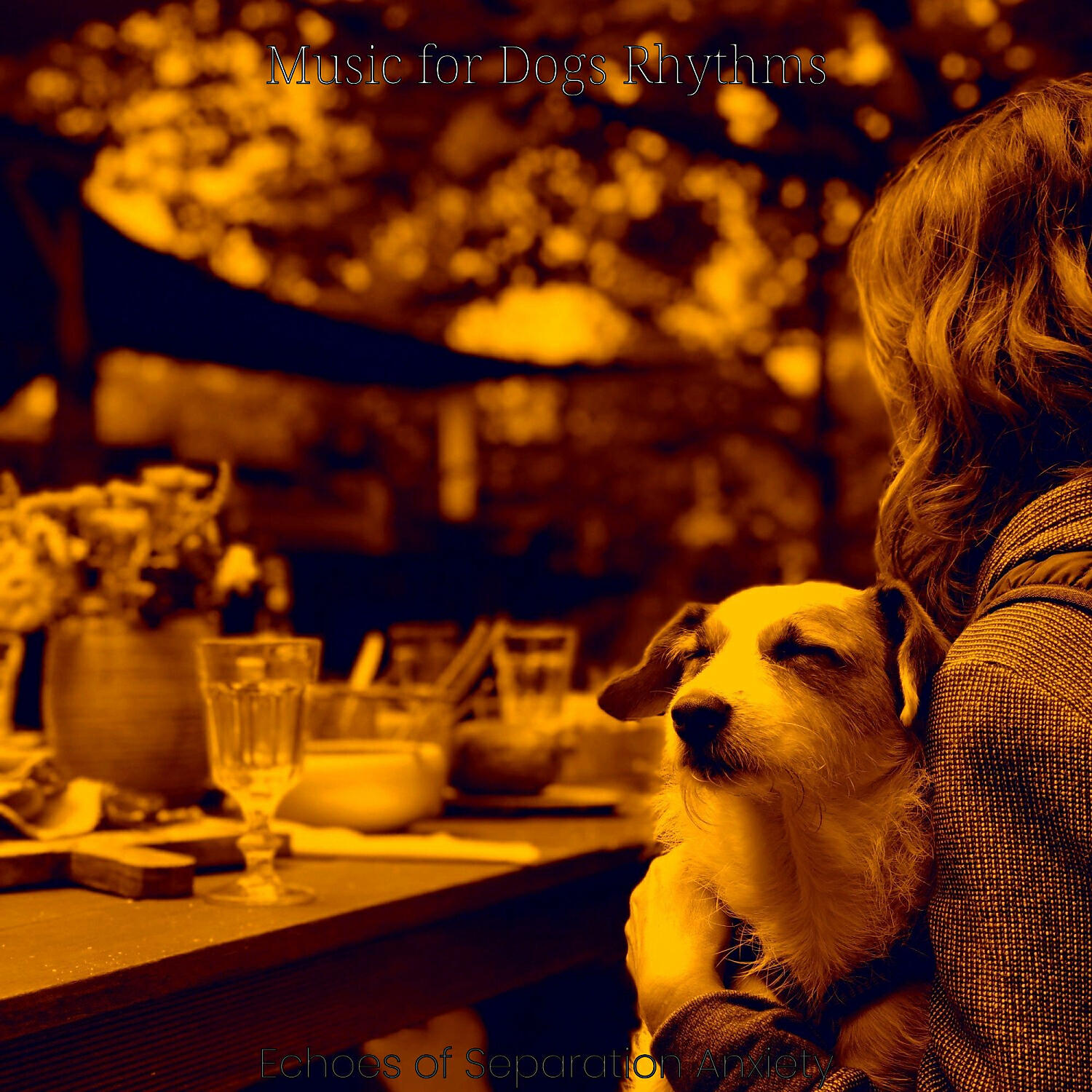 Music for Dogs Rhythms - Bright Moods for Training Dogs