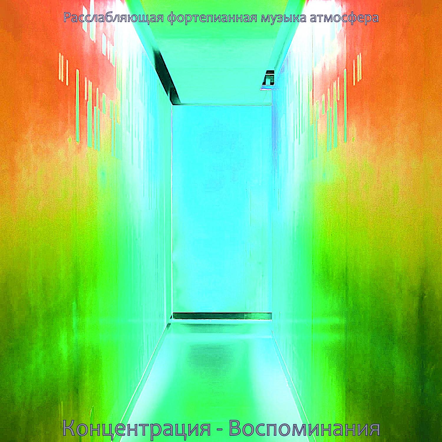 Постер альбома Концентрация - Воспоминания