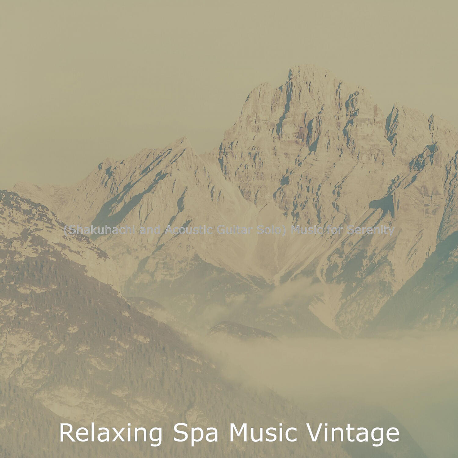 Relaxing Spa Music Vintage - Tasteful Holistic Spa Treatments